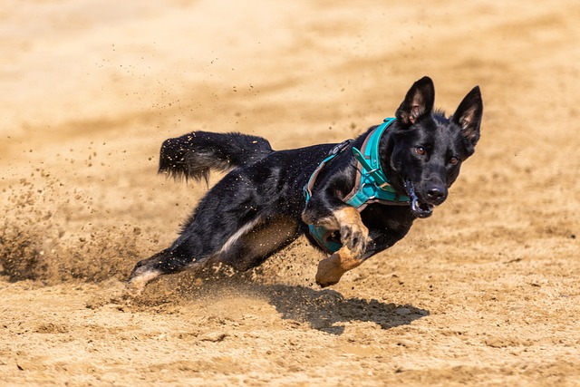 當運動開始