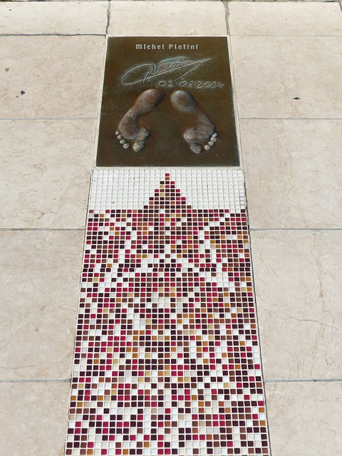 无数球迷的 无数球迷的