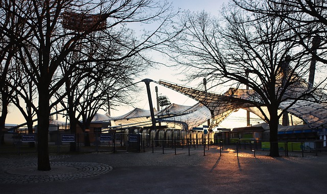 苦训练和对 苦训练和对