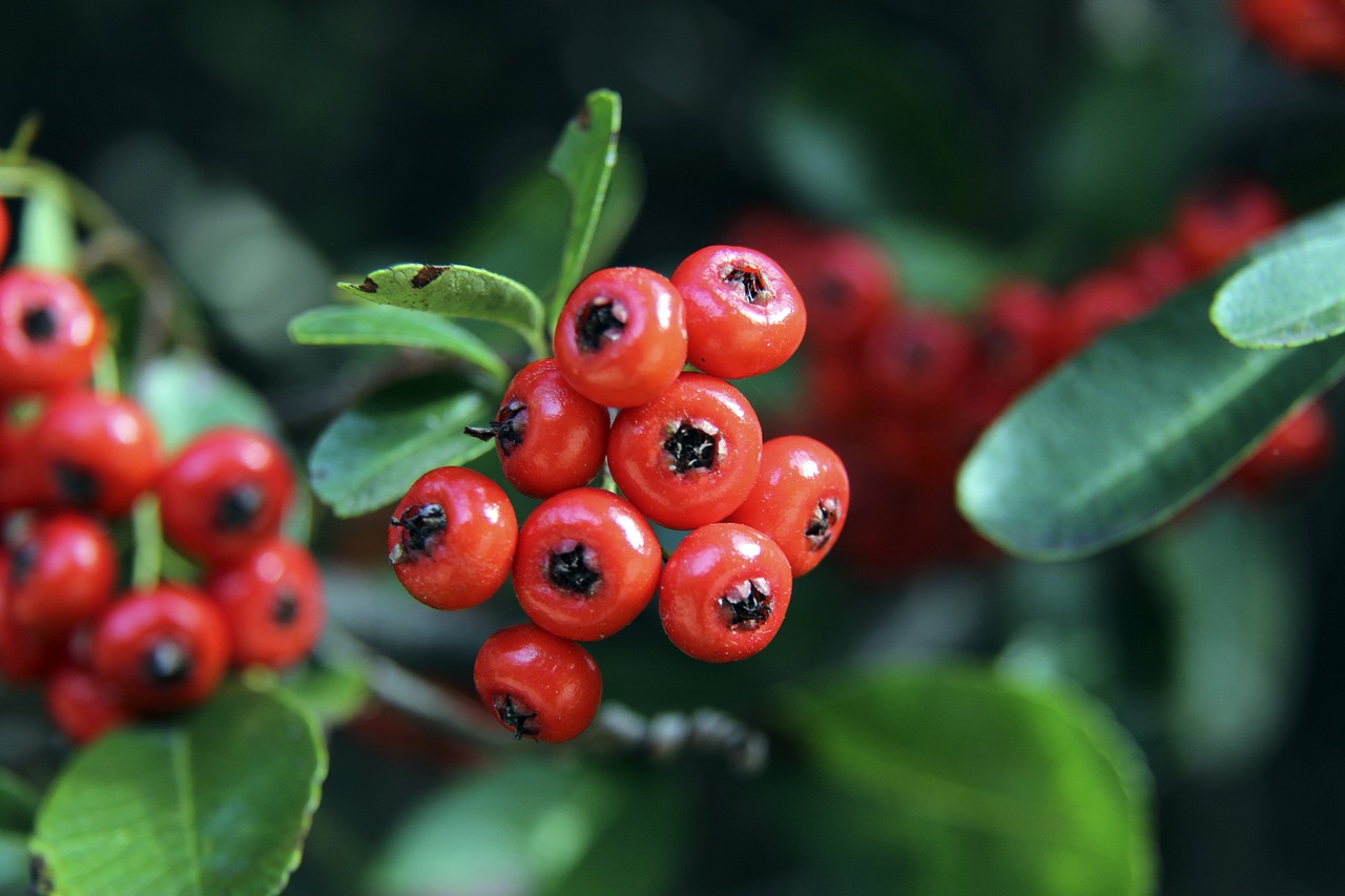 快速提升了 快速提升了