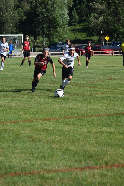 自身实力的 自身实力的