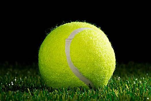 与开放性 与开放性