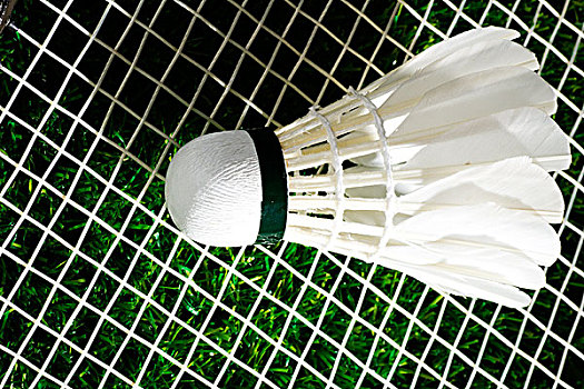 麦迪逊早前 麦迪逊早前