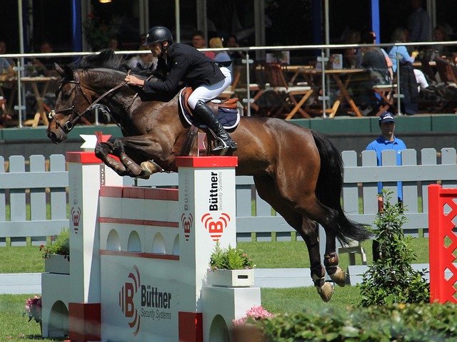 辽宁男篮 辽宁男篮